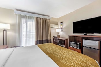 Room, 1 Queen Bed, Non Smoking