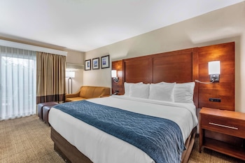 Standard Room, 1 King Bed with Sofa bed, Accessible, Non Smoking