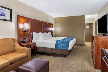 Standard Room, 1 King Bed with Sofa bed, Accessible, Non Smoking