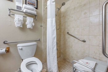 Standard Room, 1 King Bed with Sofa bed, Accessible, Non Smoking (Roll-In Shower)