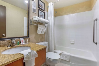 Standard Room, 1 King Bed with Sofa bed, Non Smoking