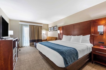 Standard Room, 1 King Bed with Sofa bed, Non Smoking