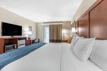 Standard Room, 1 King Bed with Sofa bed, Non Smoking