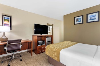 Room, 1 Queen Bed, Non Smoking