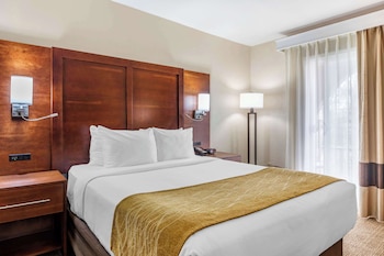 Room, 1 Queen Bed, Non Smoking