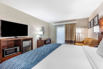 Standard Room, 1 King Bed with Sofa bed, Accessible, Non Smoking