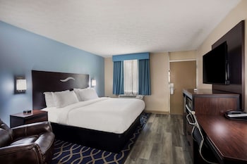 Standard Room, 1 King Bed, Non Smoking, Refrigerator & Microwave