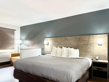 Suite King Non Smoking 2 person Sofabed