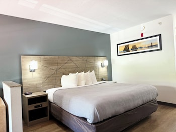 Suite King Non Smoking 2 person Sofabed