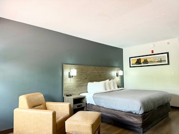 Room, 1 King Bed, Accessible, Smoking