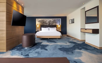 King Junior Suite Rhine Wing River View