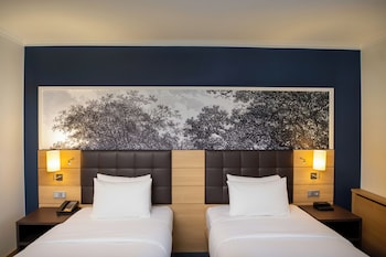 Twin Deluxe Room Rhine Wing City View
