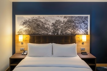 King Deluxe Room Rhine Wing City View