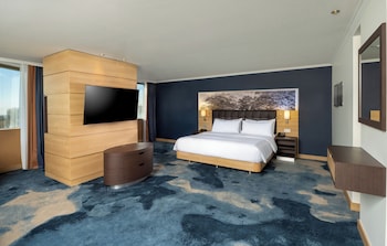 King Junior Suite Rhine Wing River View