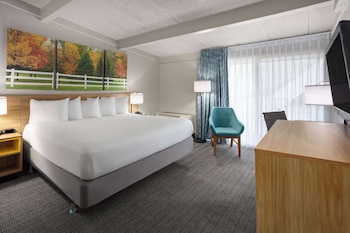 Room, 1 King Bed, Accessible