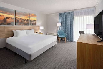 Standard Room, 1 King Bed
