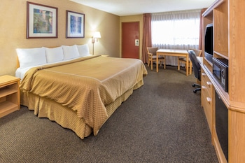 Room, 1 King Bed, Non Smoking (Pet-Friendly)