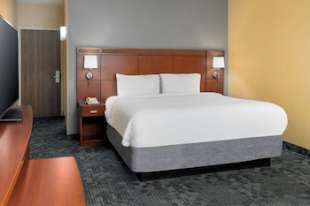 Room, 1 King Bed with Sofa bed, Hearing Accessible (Accessible Bathtub & Transfer Shower)