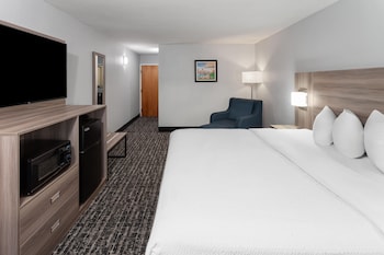 Room, 1 King Bed, Non Smoking