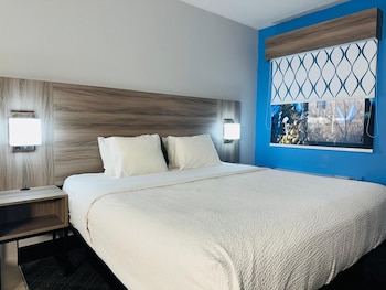 Room, 1 King Bed, Non Smoking