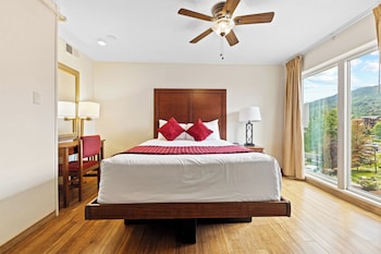 Suite, 3 Bedrooms