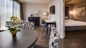 Suite, 1 King Bed, Non Smoking, Refrigerator & Microwave (with Sofabed)