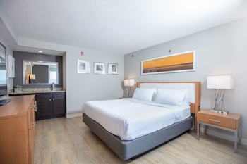 Suite, 1 Bedroom