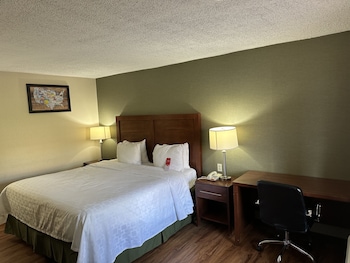 Room, 1 King Bed, Smoking