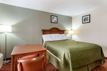 Room, 1 King Bed, Accessible, Non Smoking