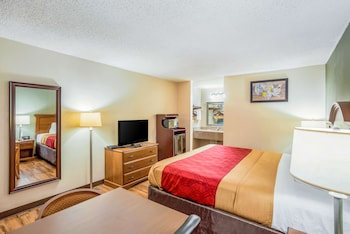 Standard Room, 1 King Bed, Non Smoking