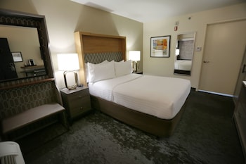 Standard Room, 1 Queen Bed, Accessible (Roll-In Shower)
