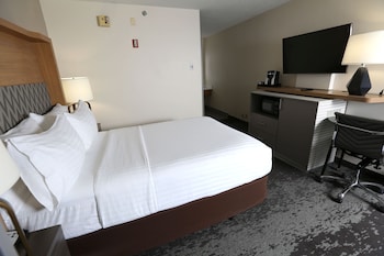 Standard Room, 1 Queen Bed, Accessible (Roll-In Shower)