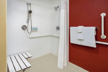 Room, 1 King Bed with Sofa bed (Mobility/Hearing Access, Roll-In Shwr)