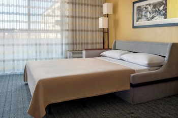 Room, 1 King Bed with Sofa bed (Mobility/Hearing Access, Roll-In Shwr)
