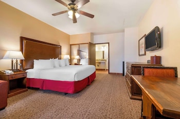 Standard Room, 1 King Bed, Non Smoking, Refrigerator & Microwave (with Sofabed)