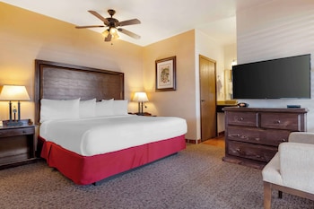 Standard Room, 1 King Bed, Non Smoking, Kitchenette