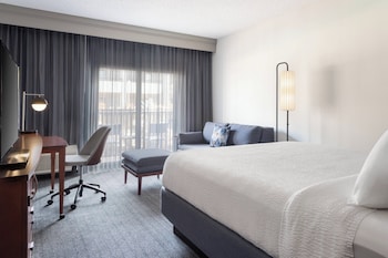 Room, 1 King Bed with Sofa bed (Hearing Accessible)