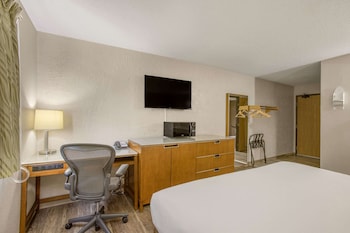 Room, 1 King Bed, Accessible, Non Smoking