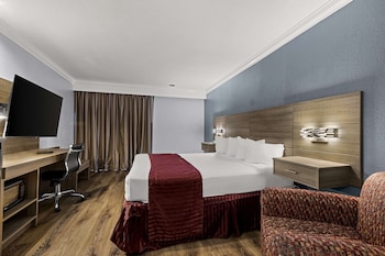 Standard Room, 1 King Bed, Non Smoking, Refrigerator & Microwave