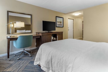 Room, 1 Queen Bed, Accessible, Bathtub (Mobility & Hearing)
