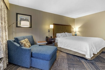 Room, 1 King Bed, Refrigerator