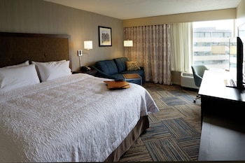 Room, 1 King Bed with Sofa bed, Accessible