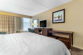 Studio, 1 King Bed, Accessible (Roll In Shower)