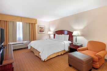 Standard Room, 1 King Bed, Non Smoking, Refrigerator