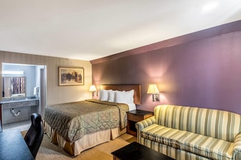 Room, 1 King Bed, Smoking (Pet Friendly)