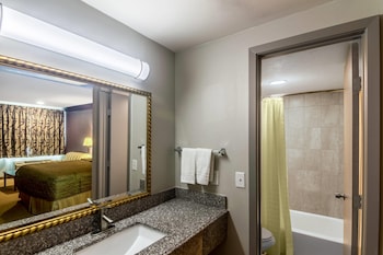 Room, 1 King Bed, Smoking (Pet Friendly)