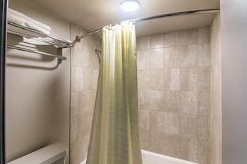Room, 1 King Bed, Smoking (Pet Friendly)