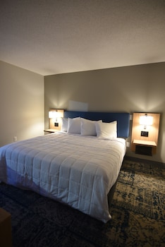 Room, 1 King Bed, Non Smoking