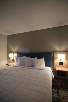 Room, 1 King Bed, Non Smoking