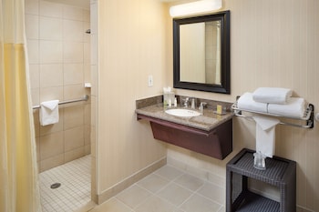 One King Bed, Non-Smoking, Roll In Shower